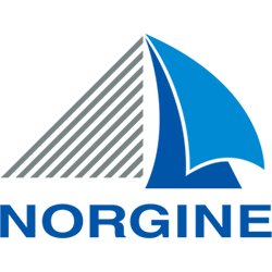 Norgine - Logo